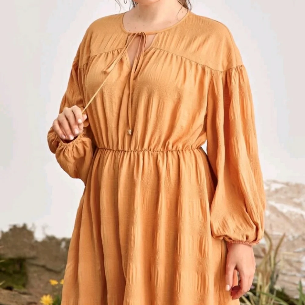 #31 Brand New Plus Tie Neck A Line Dress - Picture 4 of 5